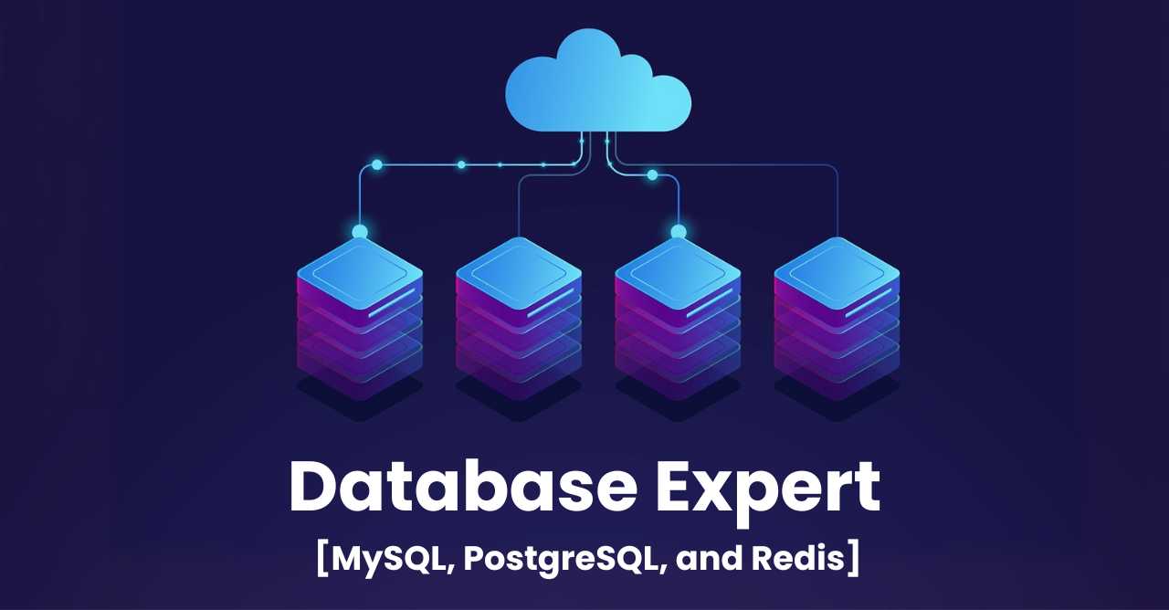 Database Expert